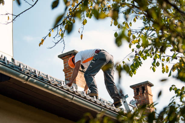 Gutter Installation and Roofing in Mount Olive, AL