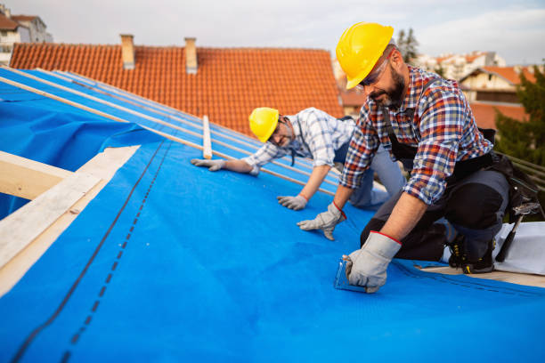 Best Metal Roofing Contractor  in Mount Olive, AL