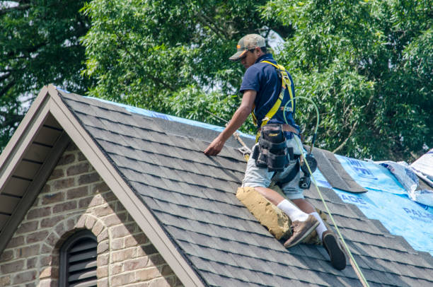 Roof Waterproofing Services in Mount Olive, AL