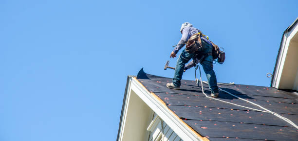Best New Roof Installation  in Mount Olive, AL